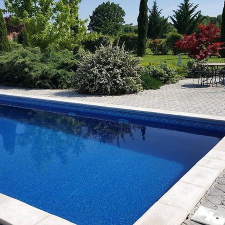 Logement Avec Piscine, Classe 3 Etoiles, De 42 M2 Tout Confort Au Calme Pour Un Couple Cahuzac-sur-Vère Exteriör bild